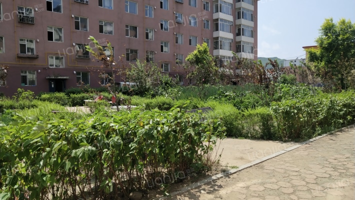 华兴小区外景图