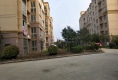 惠发小区户型图实景图