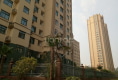 金地明珠户型图实景图