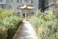 城东家园户型图实景图