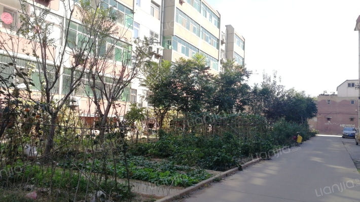 印染厂小区外景图