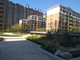 黄金水岸