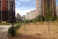 澋园户型图实景图
