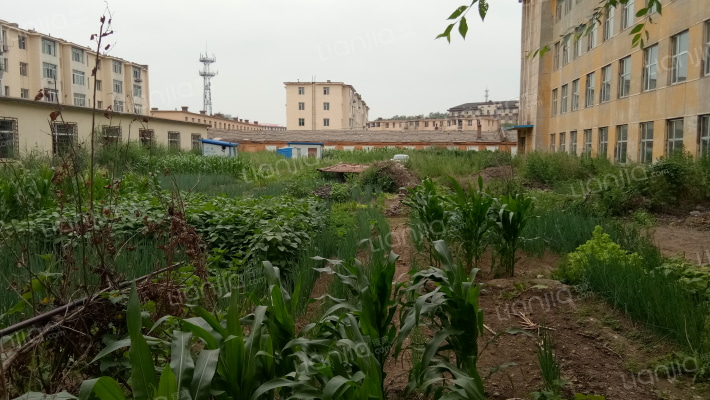 新山社区外景图