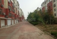 东苑小区户型图实景图