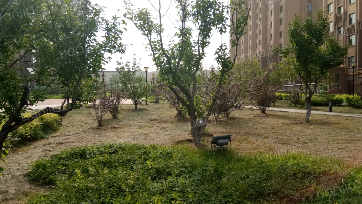 丰安家园外景图