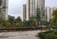 九号公馆户型图实景图