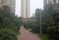 紫石新天地户型图实景图