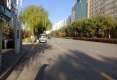 黄河阳光户型图实景图