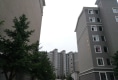 红树林花园户型图实景图