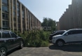 绿洲家园户型图实景图