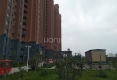 成蹊归徳户型图实景图