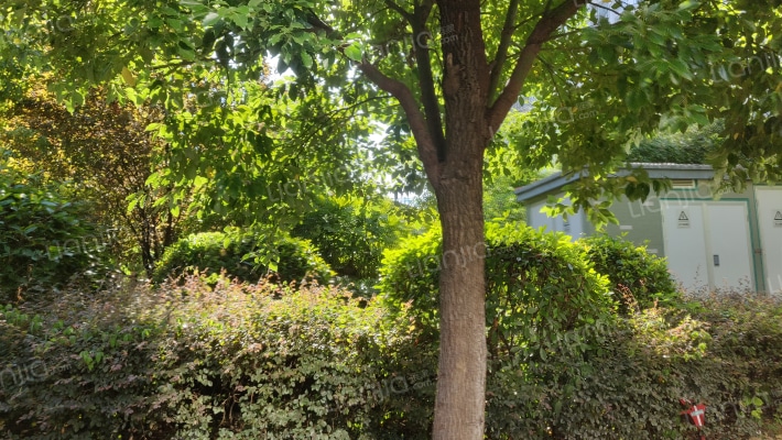 德院上城外景图