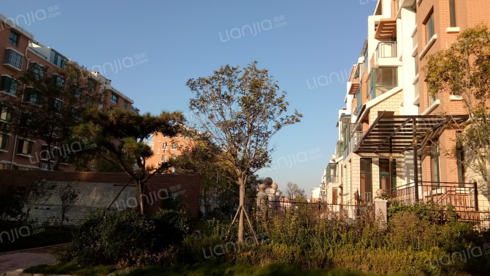 岸芷汀兰外景图