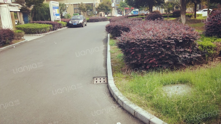 金城花园A区外景图