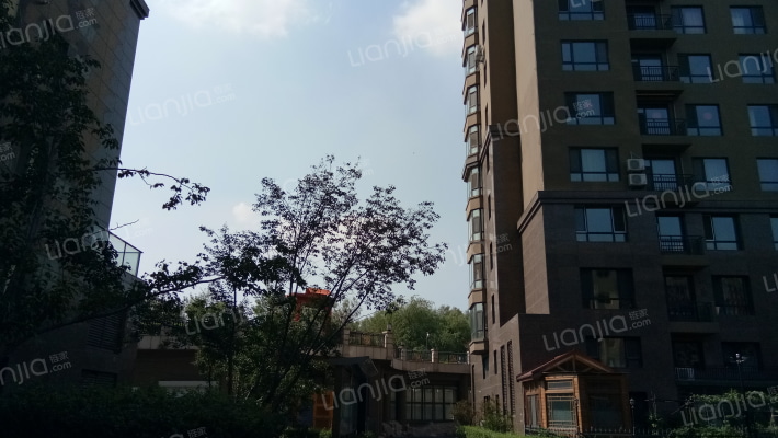 红大明珠外景图