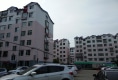阳光小区(延吉市)户型图实景图