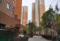 金座晟锦A区户型图实景图