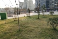 怡景贰号院户型图实景图
