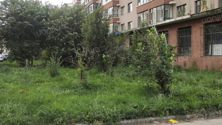 永安新区外景图