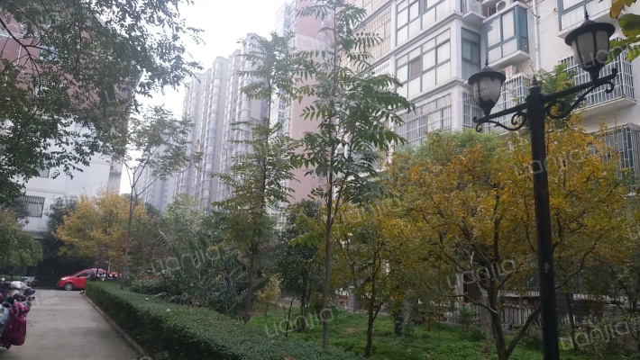 尚善若水外景图