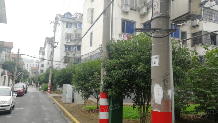 青洲河沿外景图