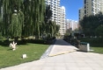 高新华府户型图实景图