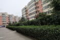 天润花园户型图实景图