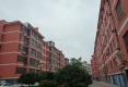 新世纪商苑户型图实景图