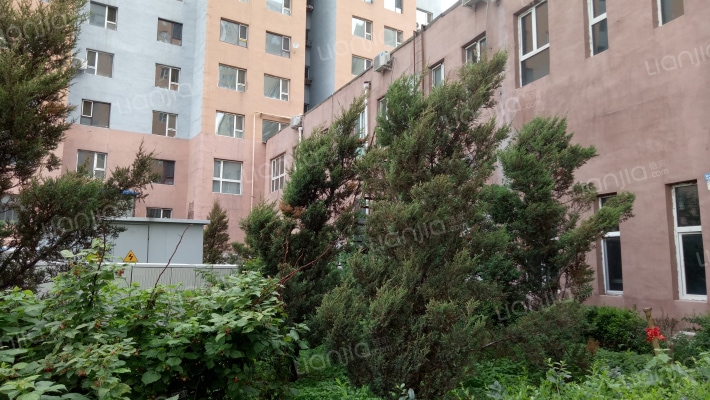 威恩新村A区外景图