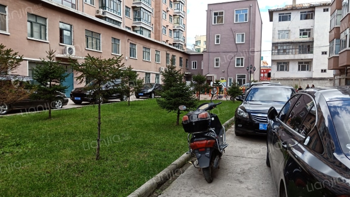 盛勋兴园外景图