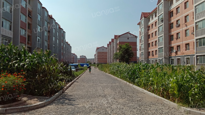 福星小区外景图