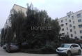 方城县裕泉花园户型图实景图