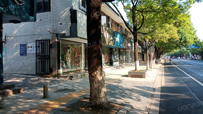 亭林路194号小区外景图