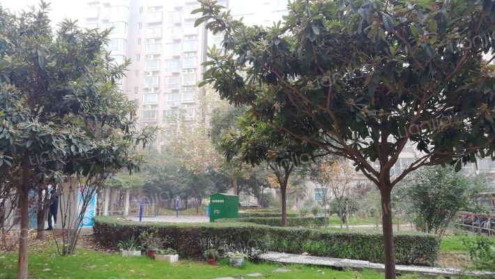 和协花园外景图