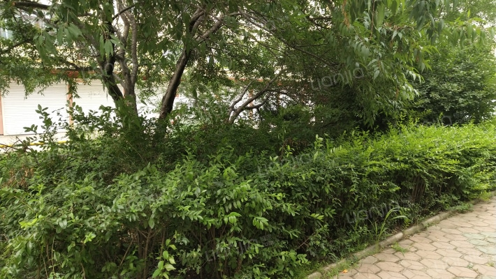 亚泰欣城外景图