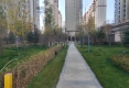 恒昌卢浮公馆户型图实景图