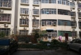 唐河一高南家属院户型图实景图