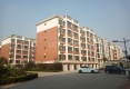宜家东苑户型图实景图