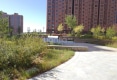 丽都水岸户型图实景图