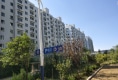 向阳花园户型图实景图