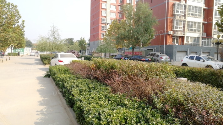 君临华庭外景图