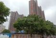 同华国际广场户型图实景图