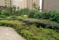 龙城帝景户型图实景图