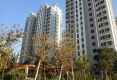 海泰家园户型图实景图