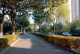 东川警苑户型图实景图