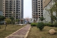 汇景江南户型图实景图