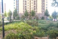 帝景花园户型图实景图