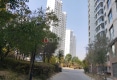 银桦苑E区户型图实景图