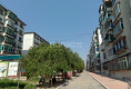 西葛一路户型图实景图